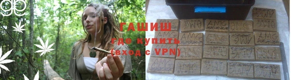 гашик Елизово