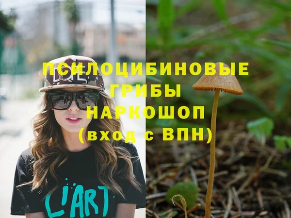 МДПВ Елабуга