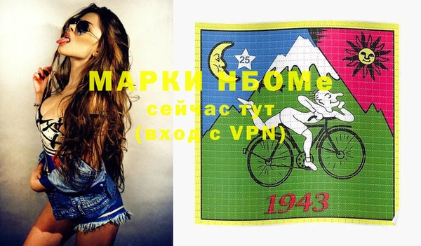 гашик Елизово